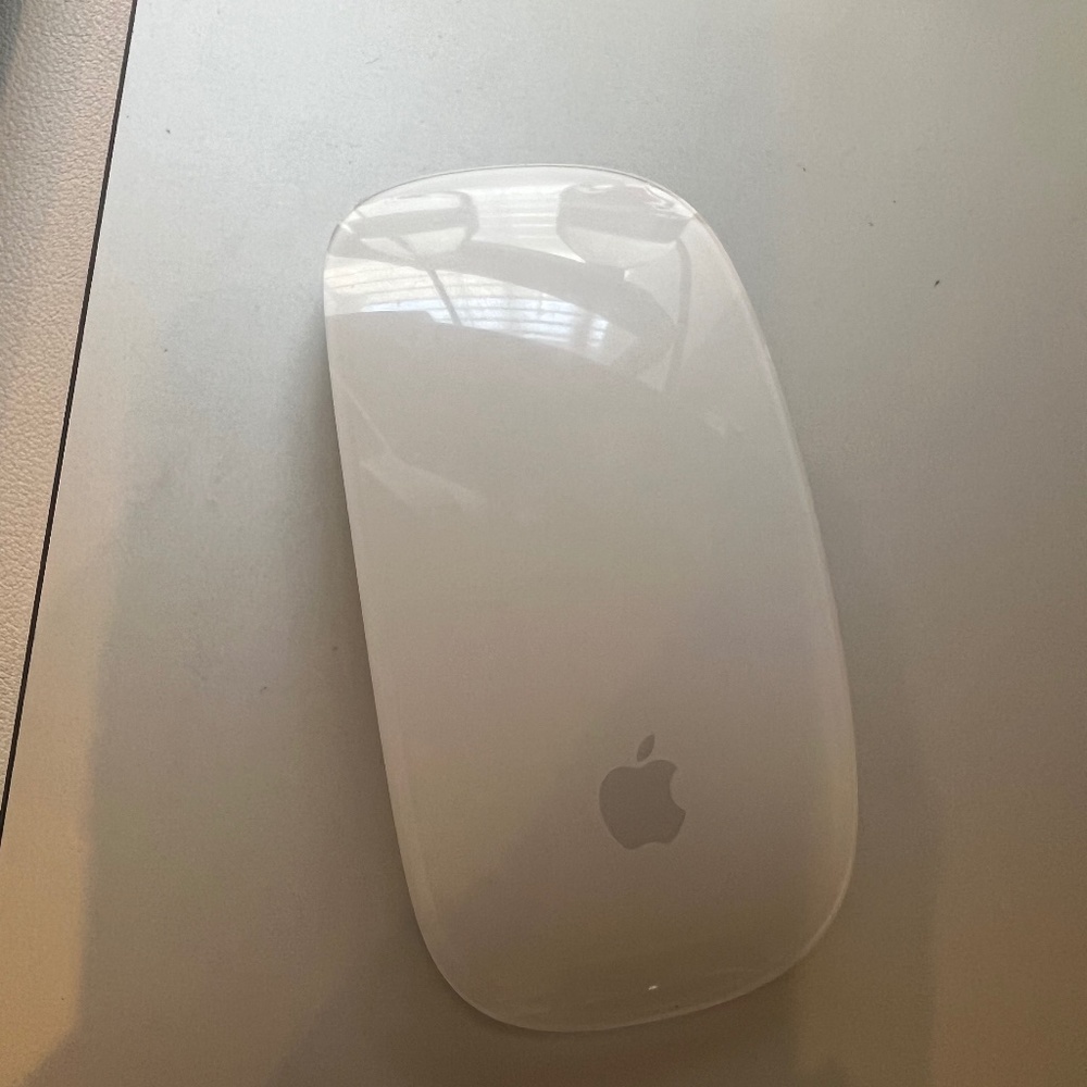 Magic Mouse 2